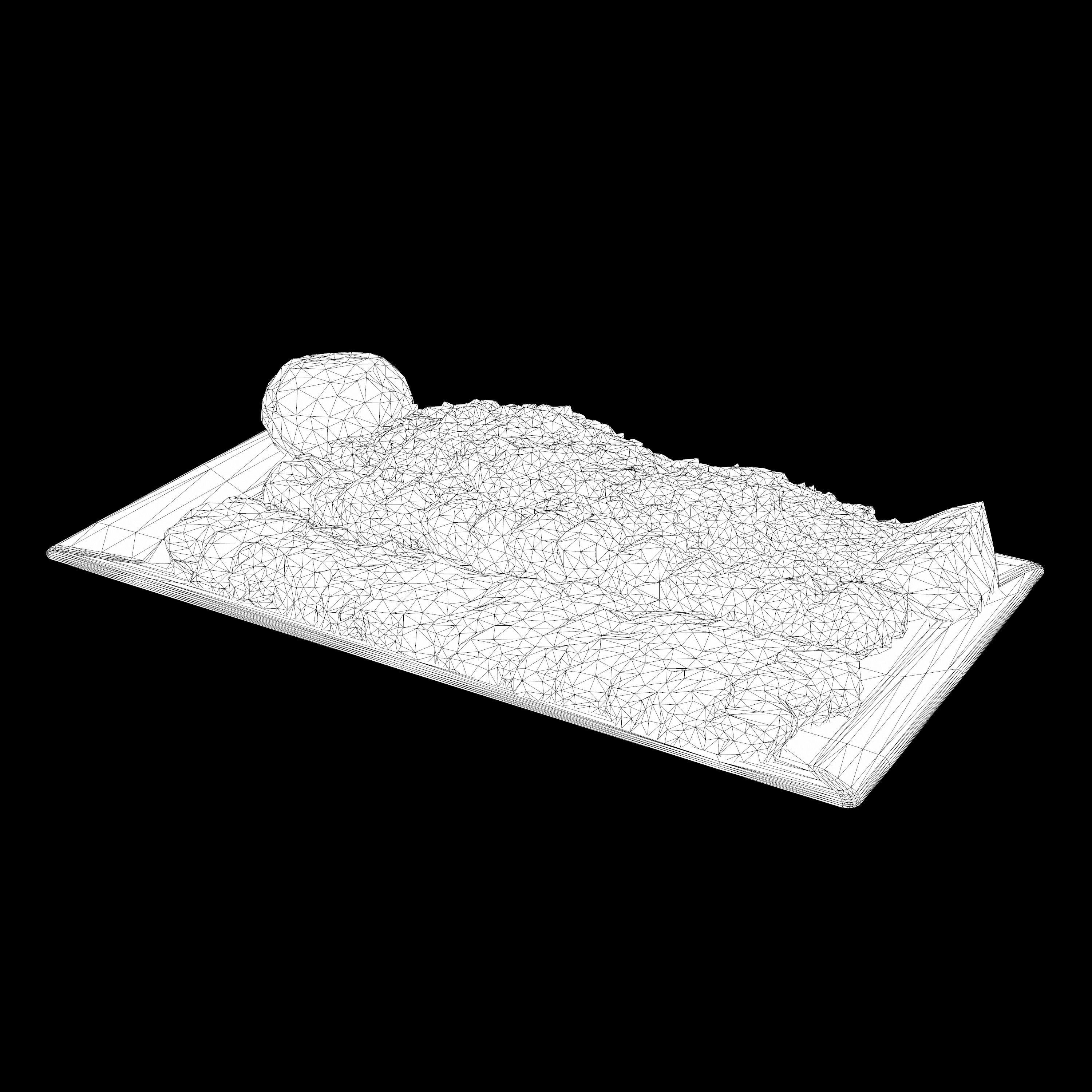 Kabab Barg Recipe Low-poly 3D model_13