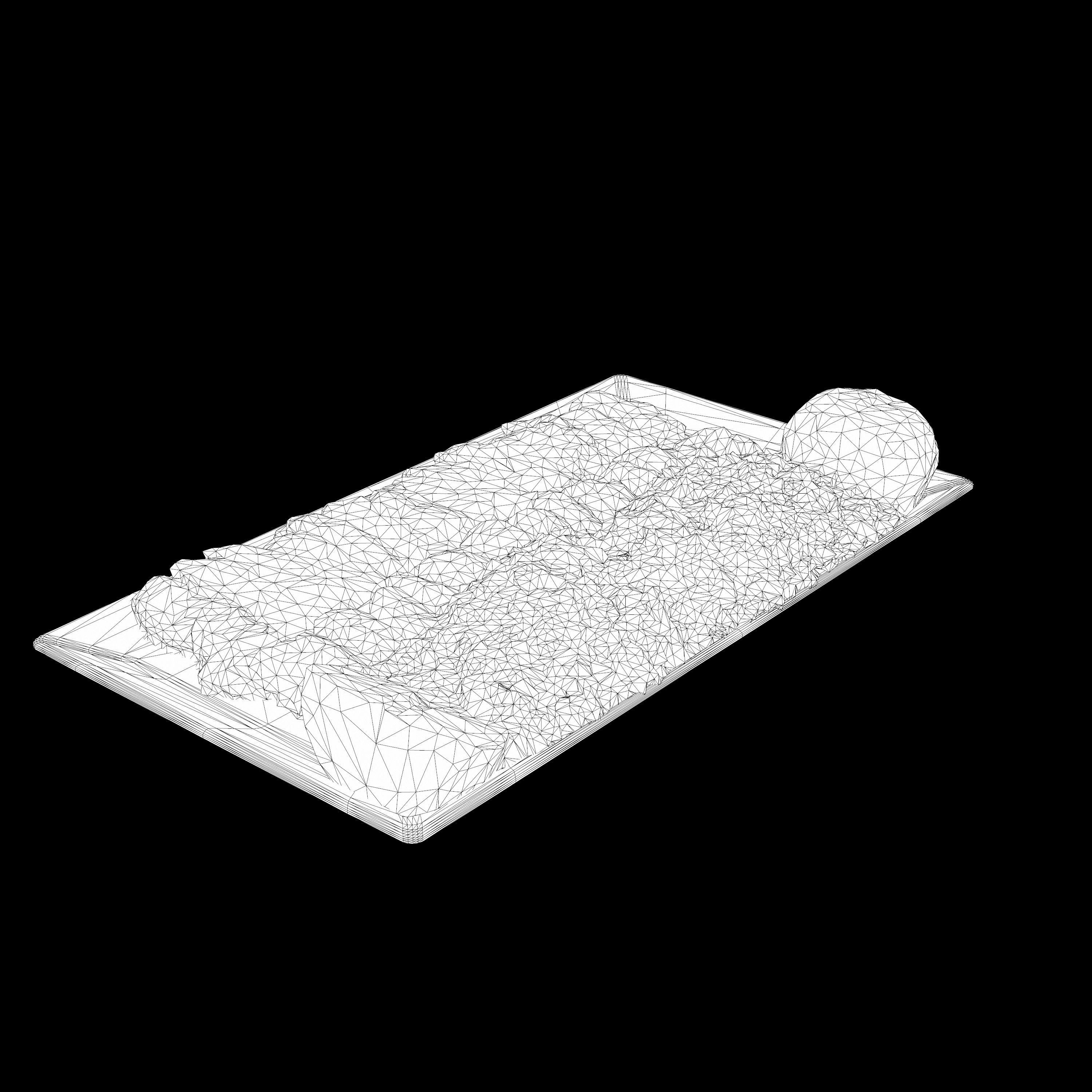 Kabab Barg Recipe Low-poly 3D model_12