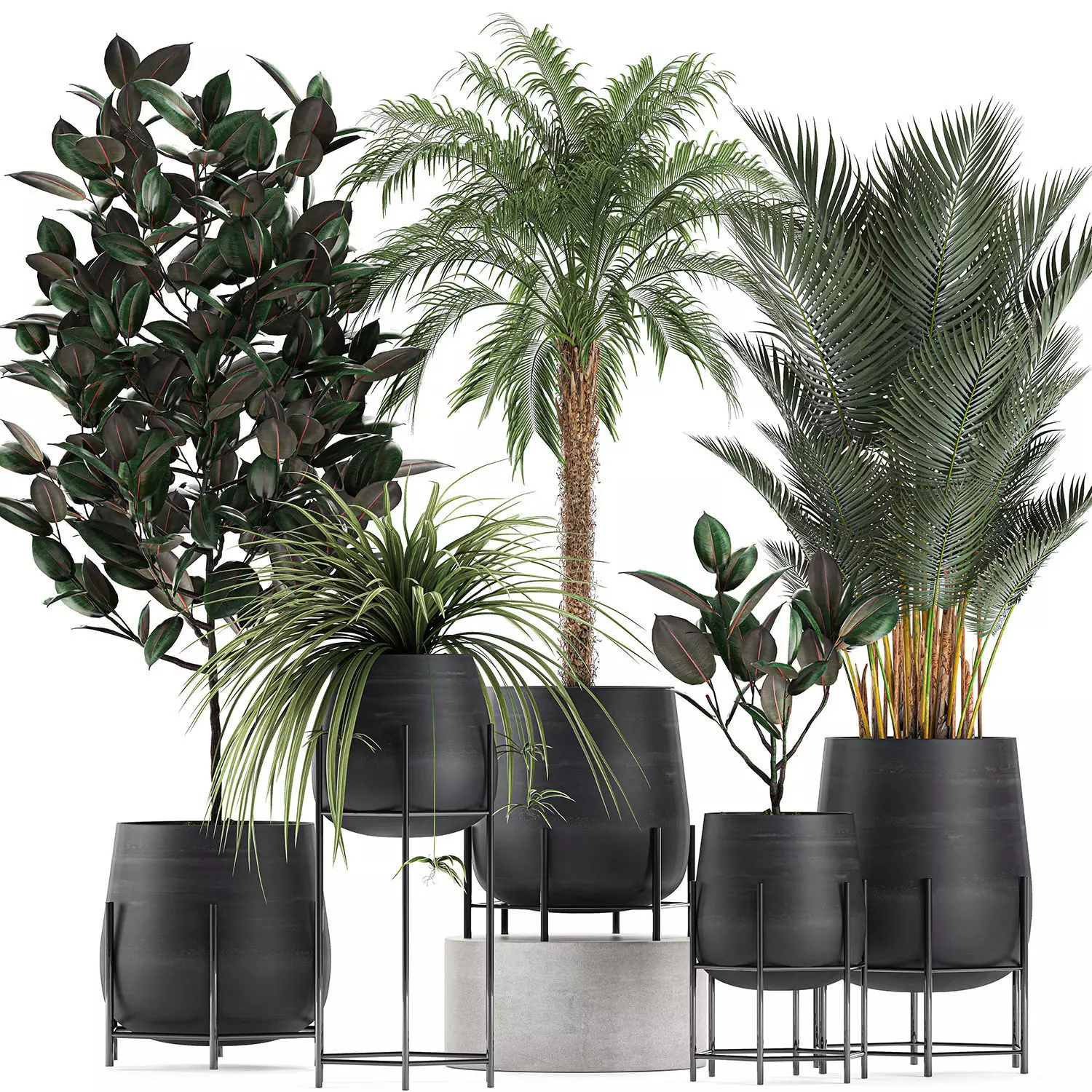 Decorative plants for the interior in white flowerpots 627 3D model