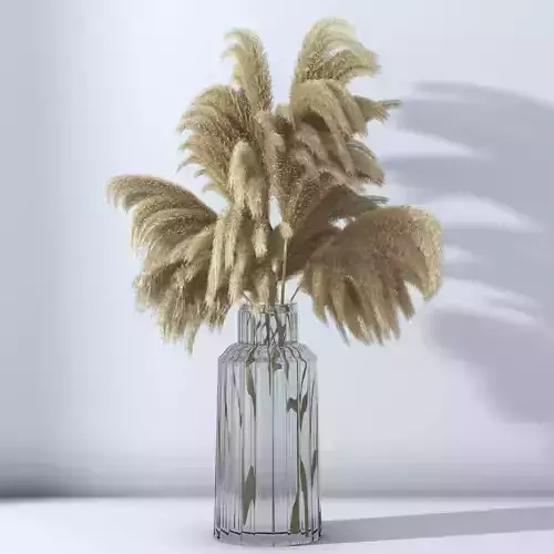 Pampas Grass Set