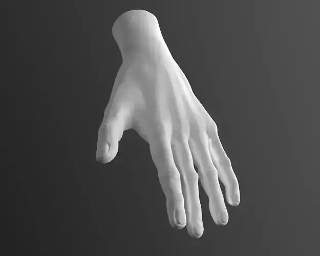 Male Hand High-Poly model