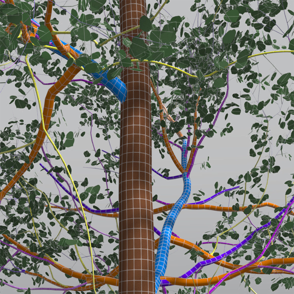 Seasonal Tall Mature Quaking Aspen - Variation 1 3D model_10