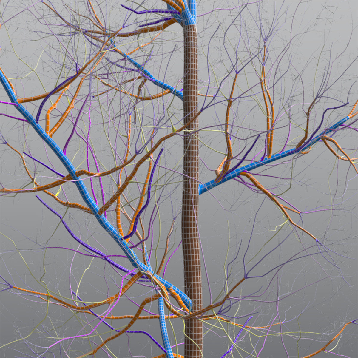 Seasonal Tall Mature Quaking Aspen - Variation 1 3D model_9