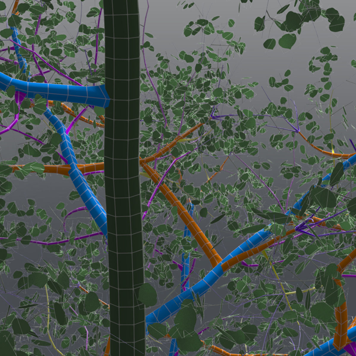 Adult Quaking Aspen - Variation 1 3D model_5
