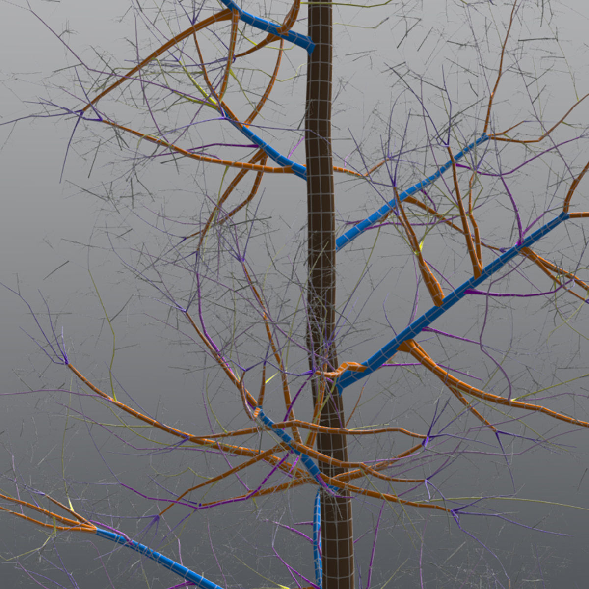 Adult Quaking Aspen - Variation 1 3D model_4