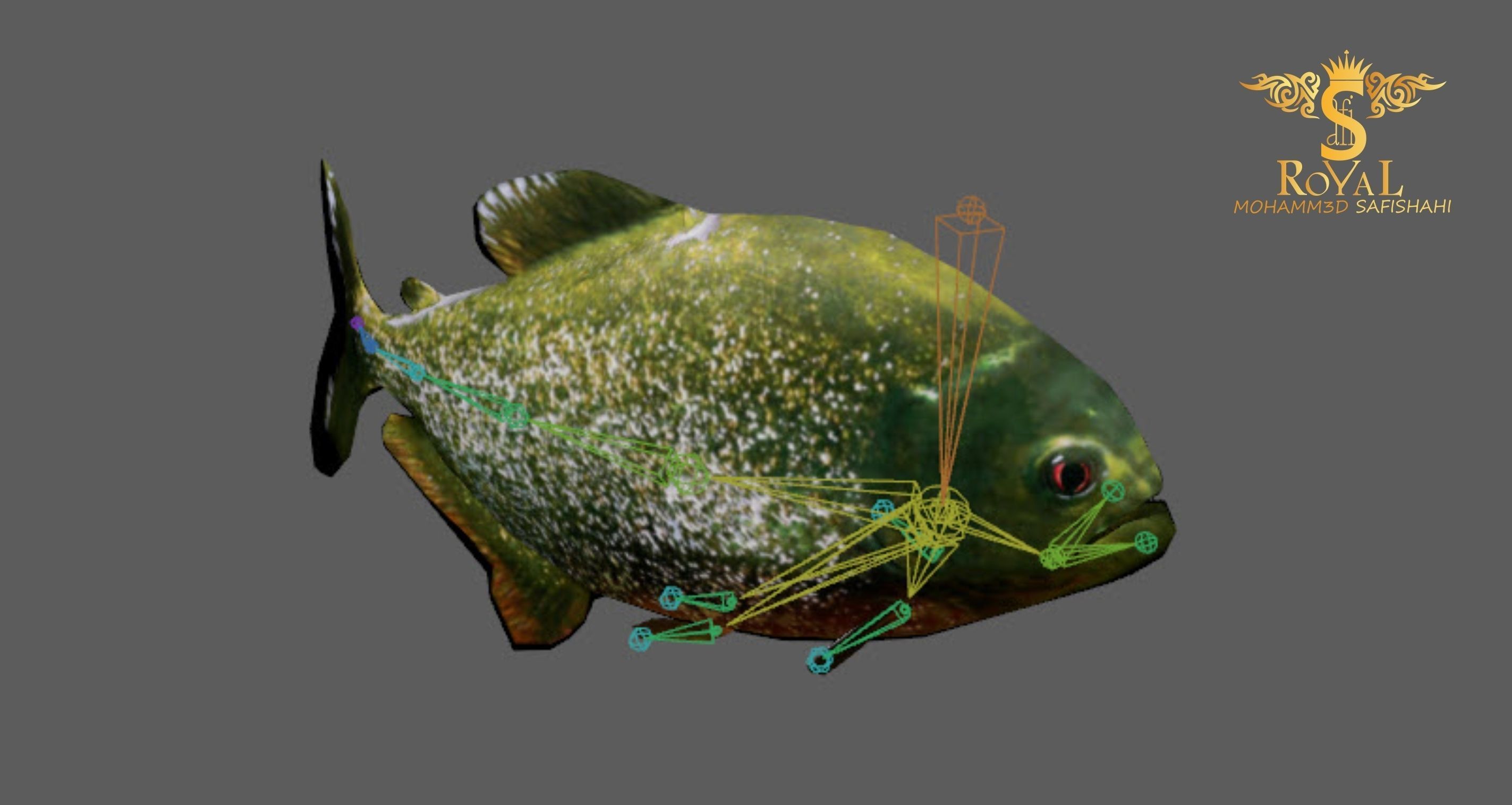 Animated Piranha Fish - Loop Animation with 1160 Frames Low-poly 3D model_5