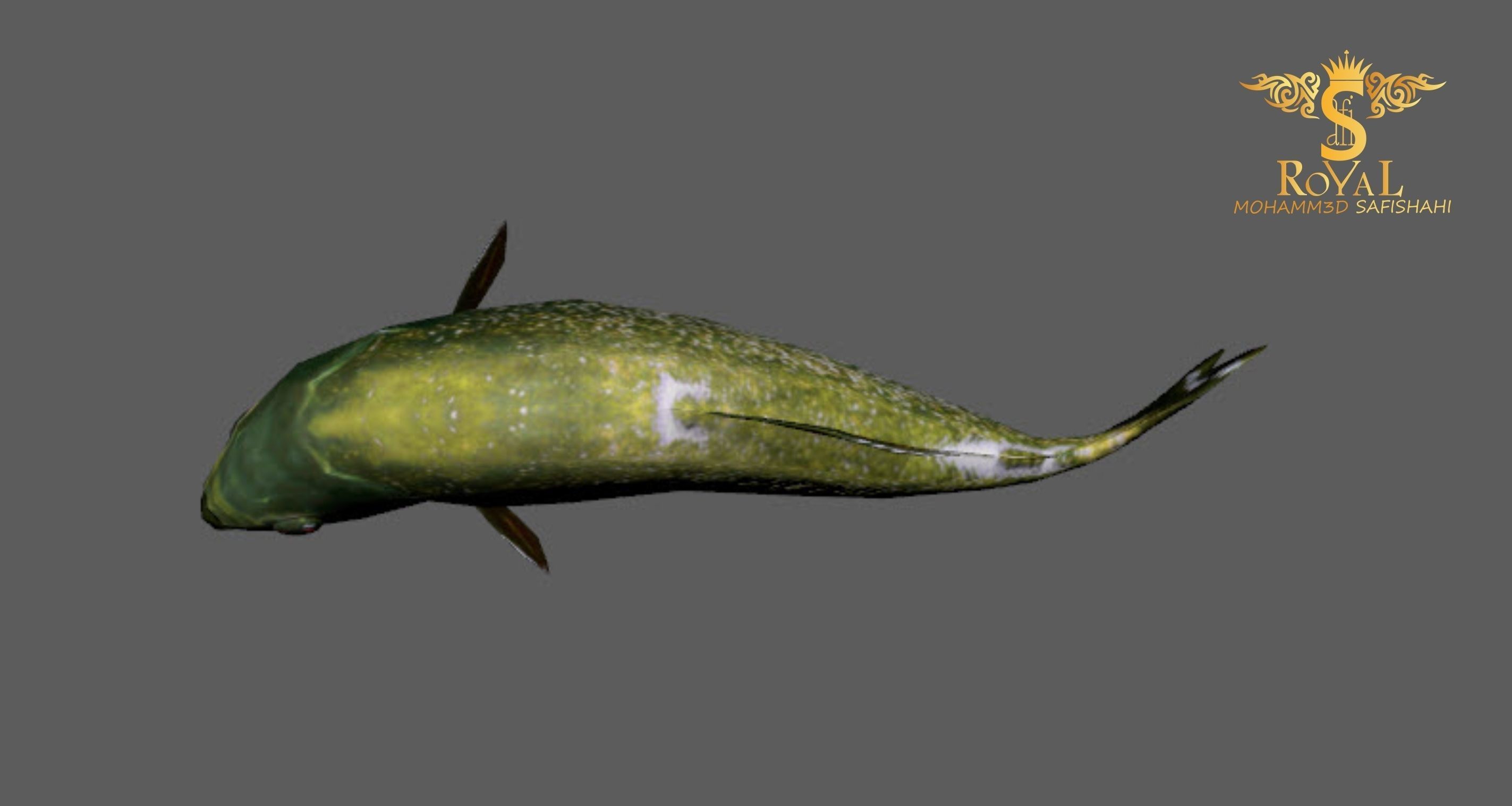 Animated Piranha Fish - Loop Animation with 1160 Frames Low-poly 3D model_3