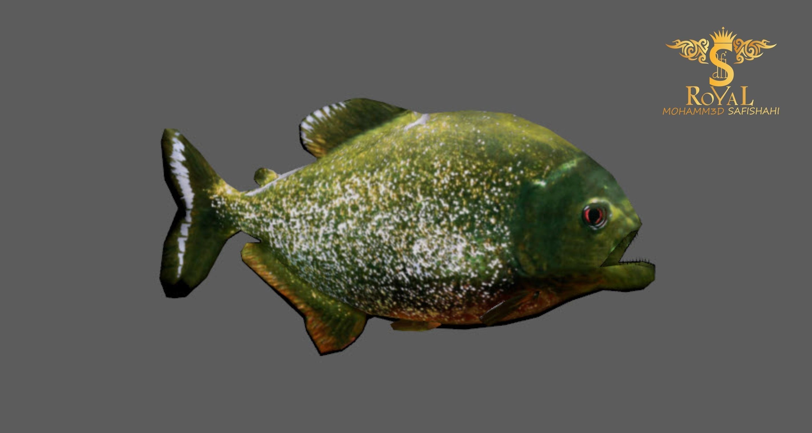 Animated Piranha Fish - Loop Animation with 1160 Frames Low-poly 3D model_2
