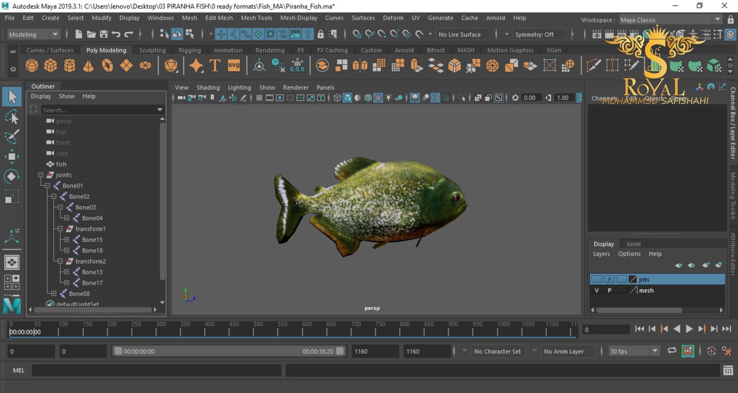 Animated Piranha Fish - Loop Animation with 1160 Frames Low-poly 3D model_8