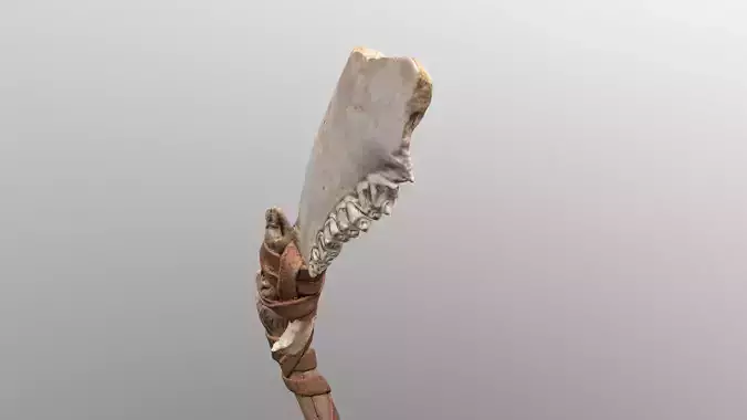 Real Primitive Axe Bone Yaw-Wood Low-poly 3D model