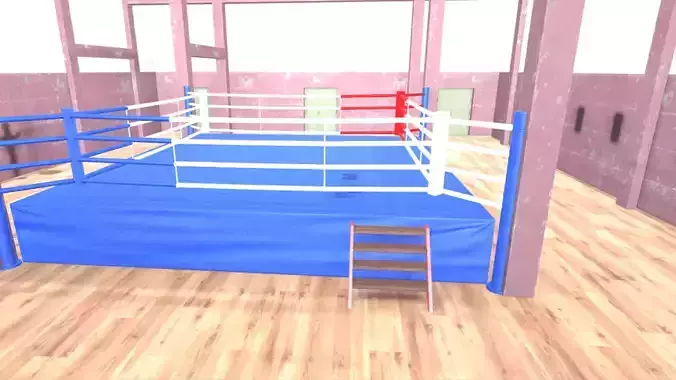 Boxing ring