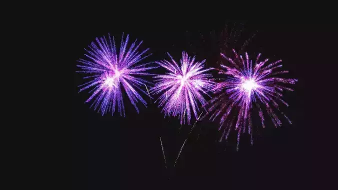 Fireworks in night sky 3D model