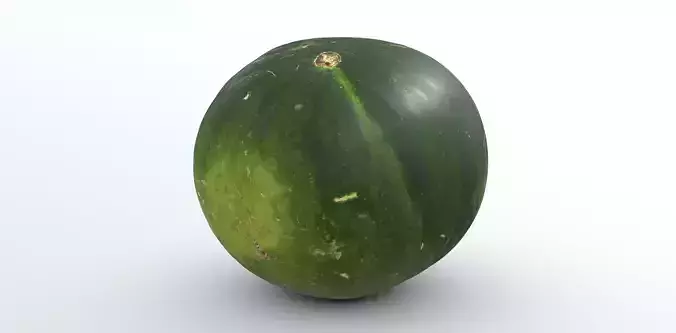 Photorealistic watermelon