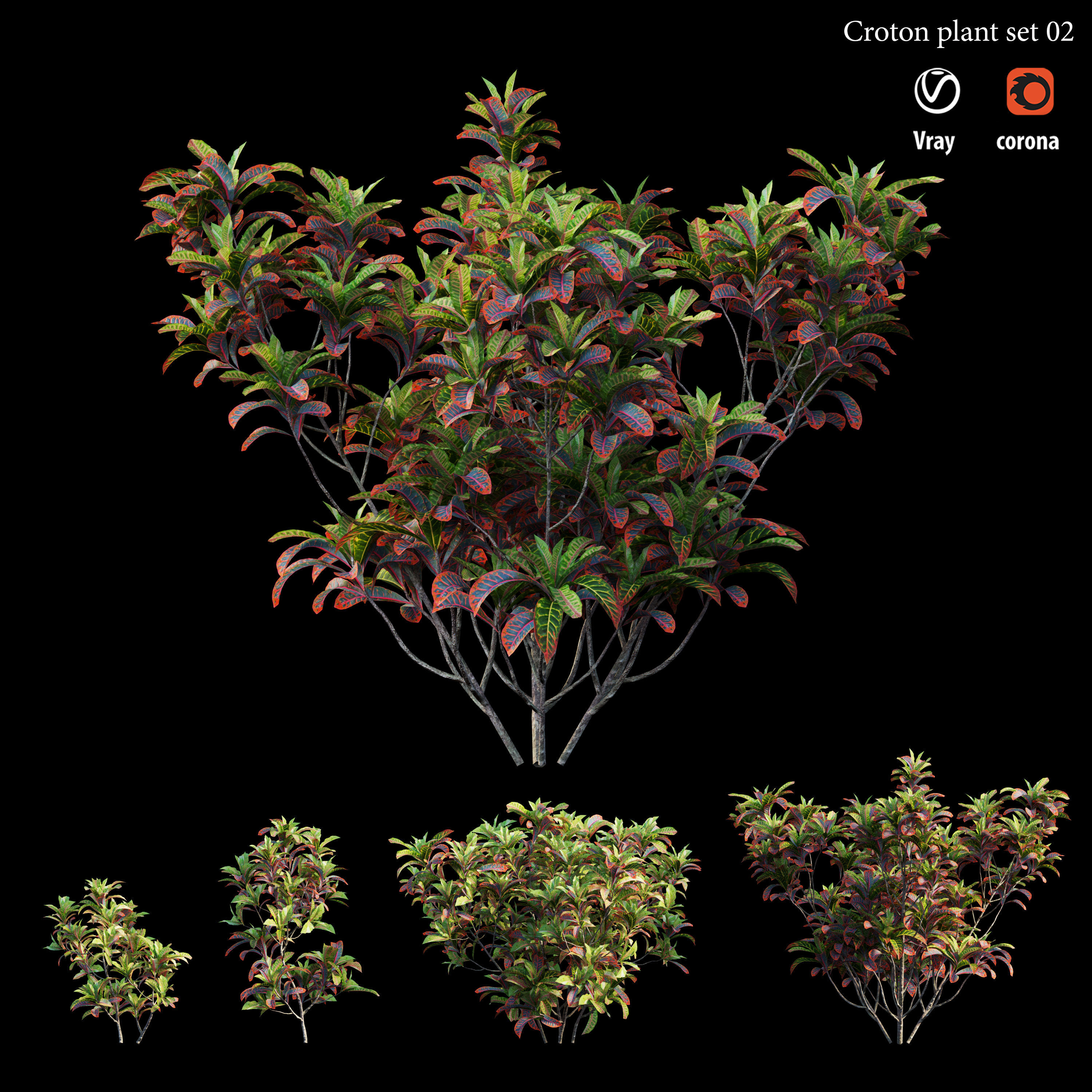 Croton plant set 02 3D model_1