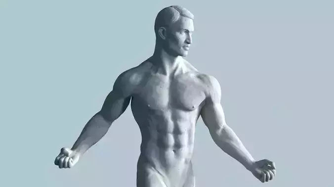 Anatomical Sculpture of a Man