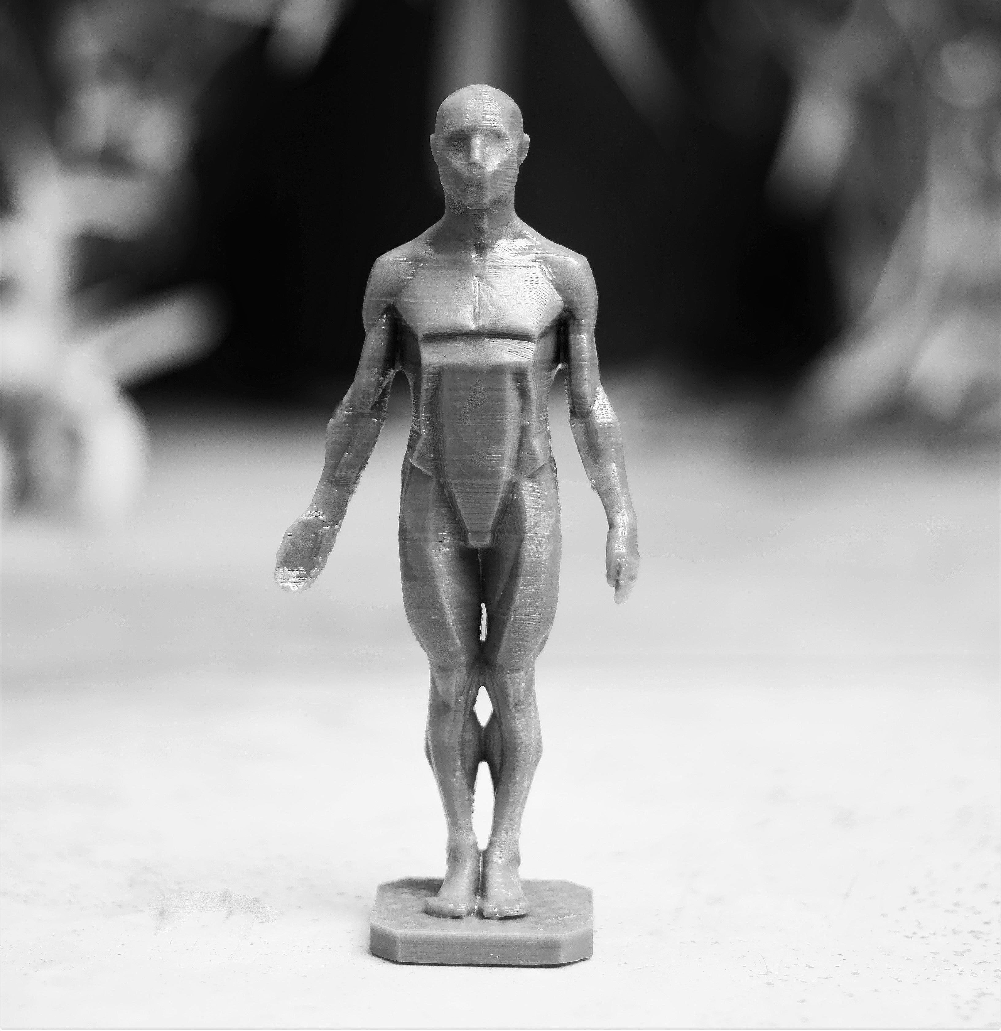 Male Planes of the Body - John Asaro 3D model_3