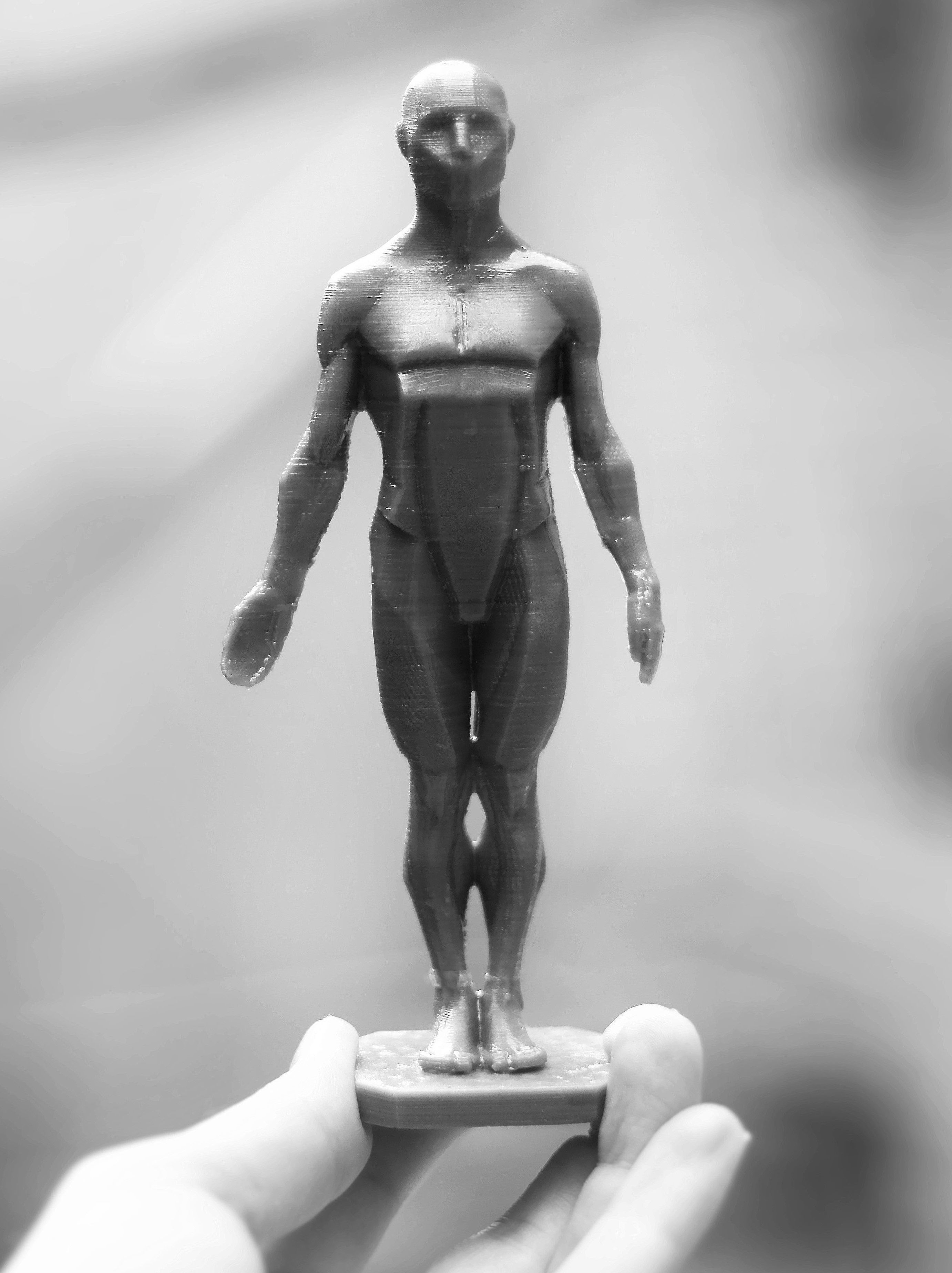 Male Planes of the Body - John Asaro 3D model_9