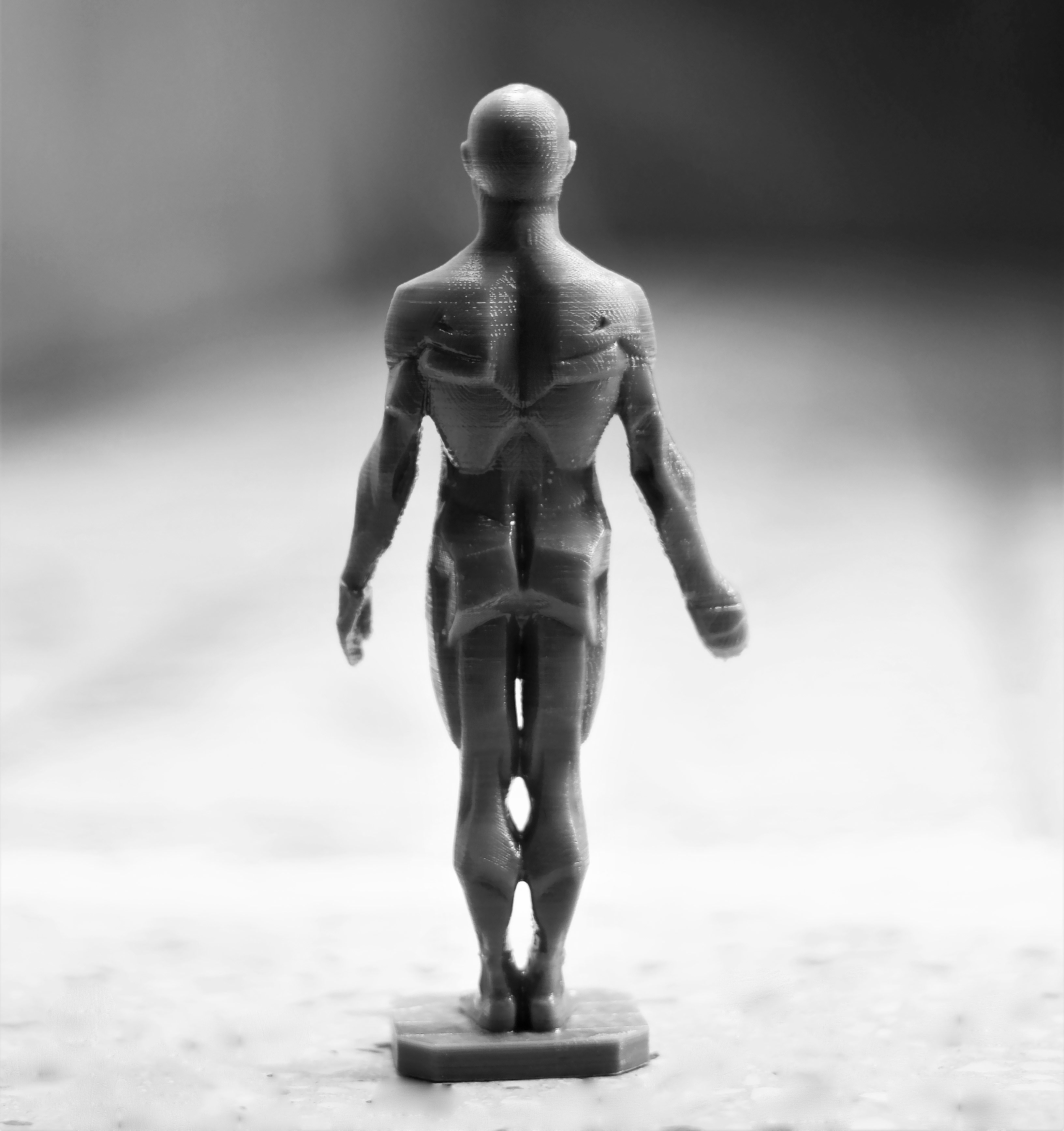 Male Planes of the Body - John Asaro 3D model_5