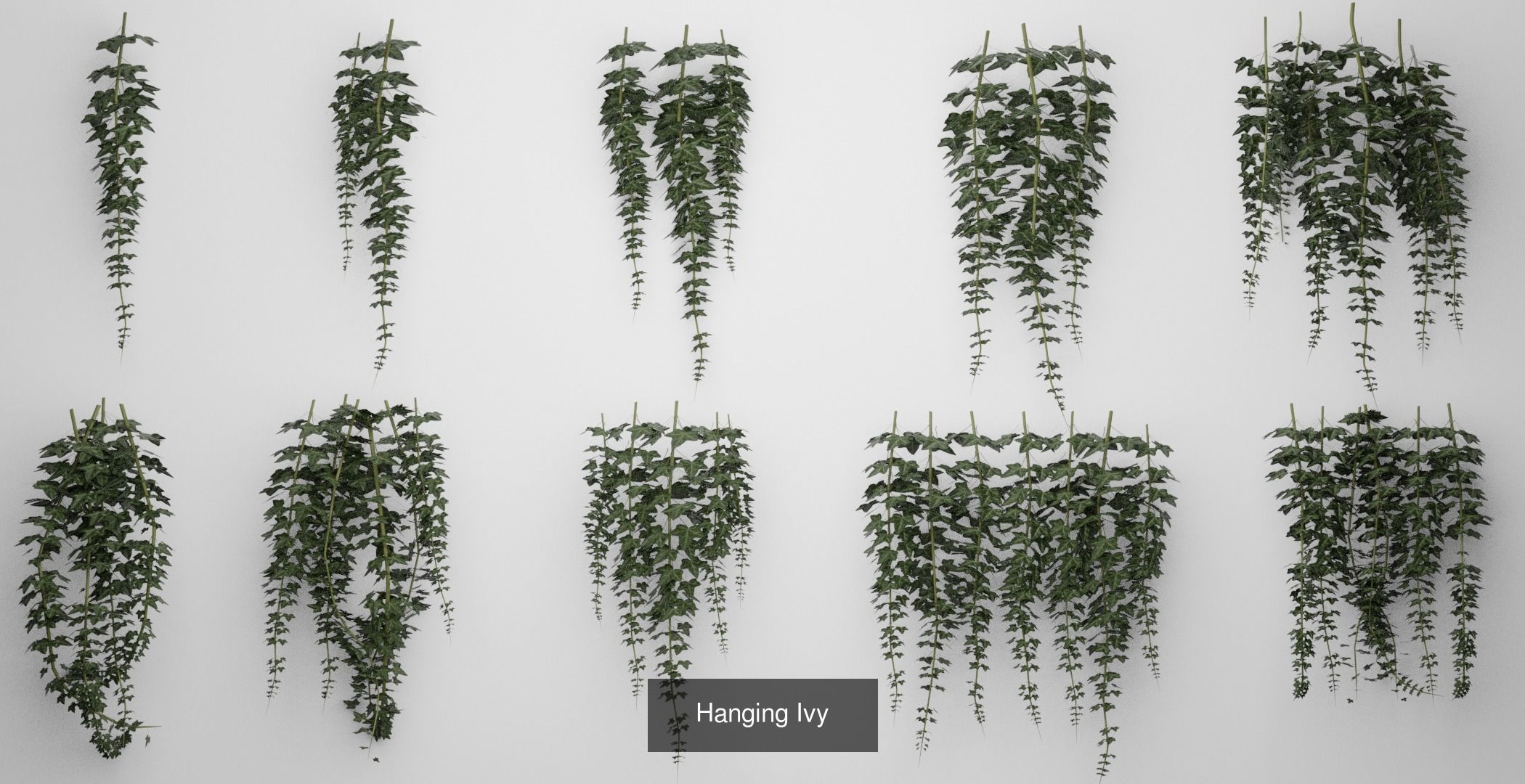 Landscape Vegetation Lowpoly Assests 3D Model Collection_4