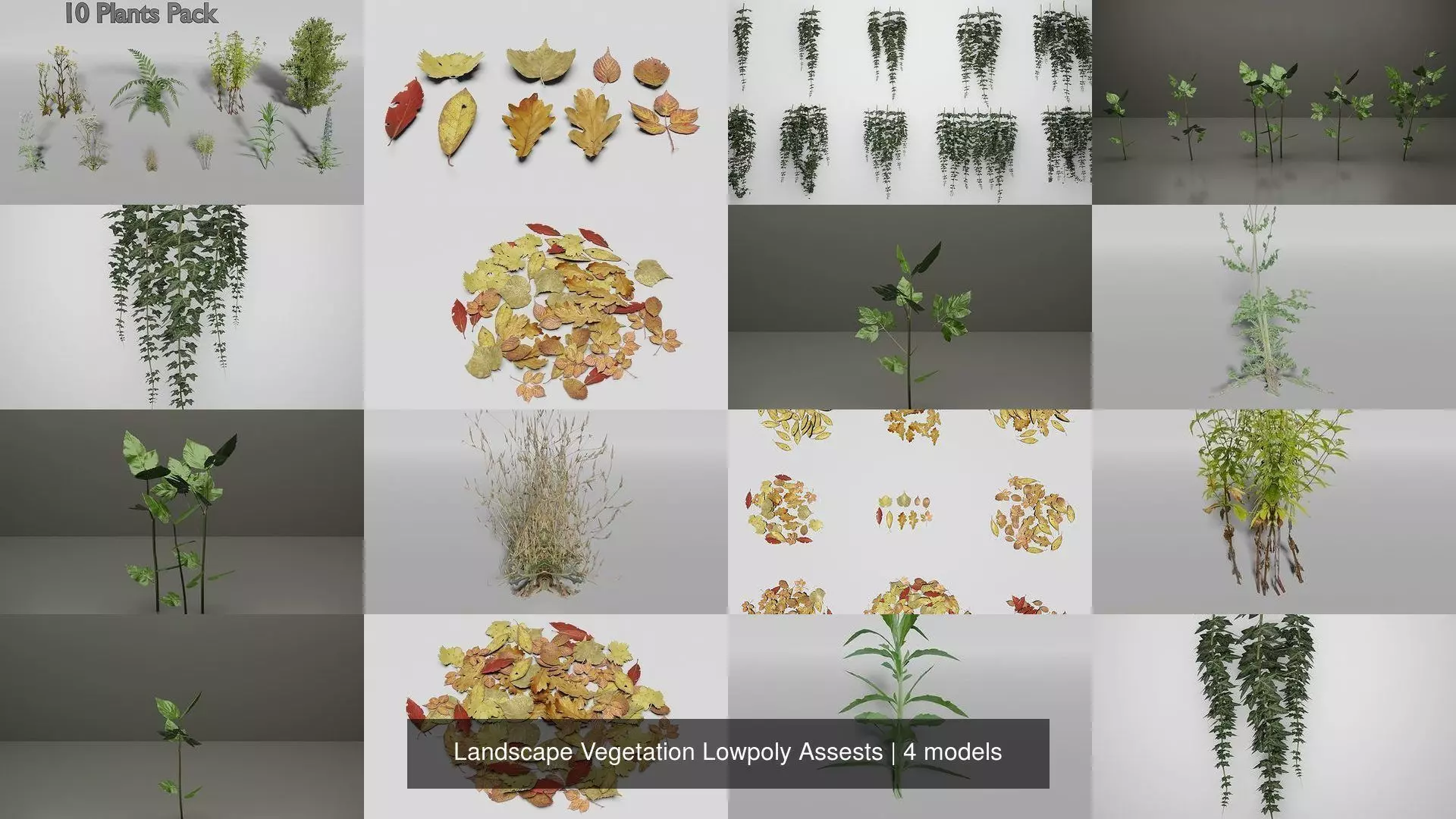 Landscape Vegetation Lowpoly Assests 3D Model Collection_0