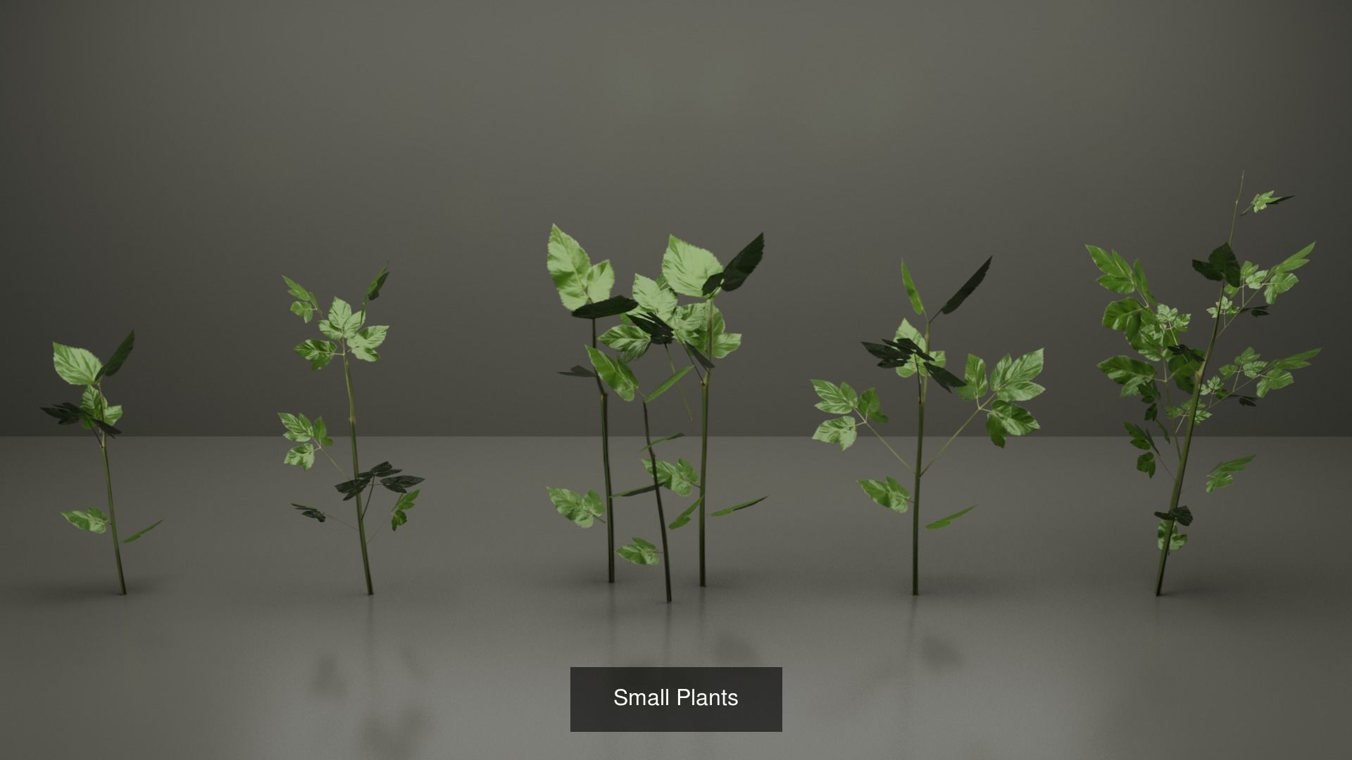 Landscape Vegetation Lowpoly Assests 3D Model Collection_5