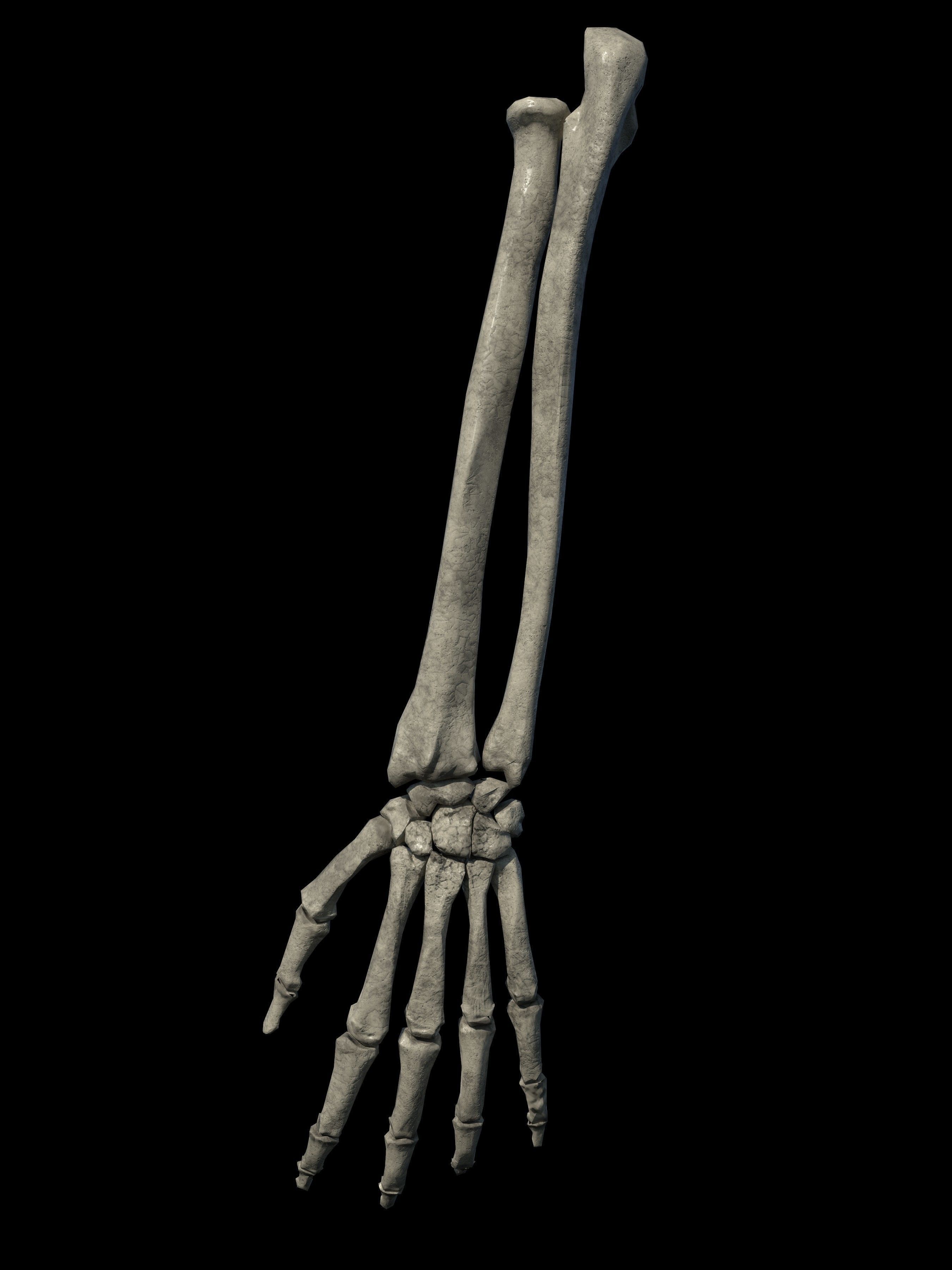 Reaper cloak with skeletons Low-poly 3D model_9