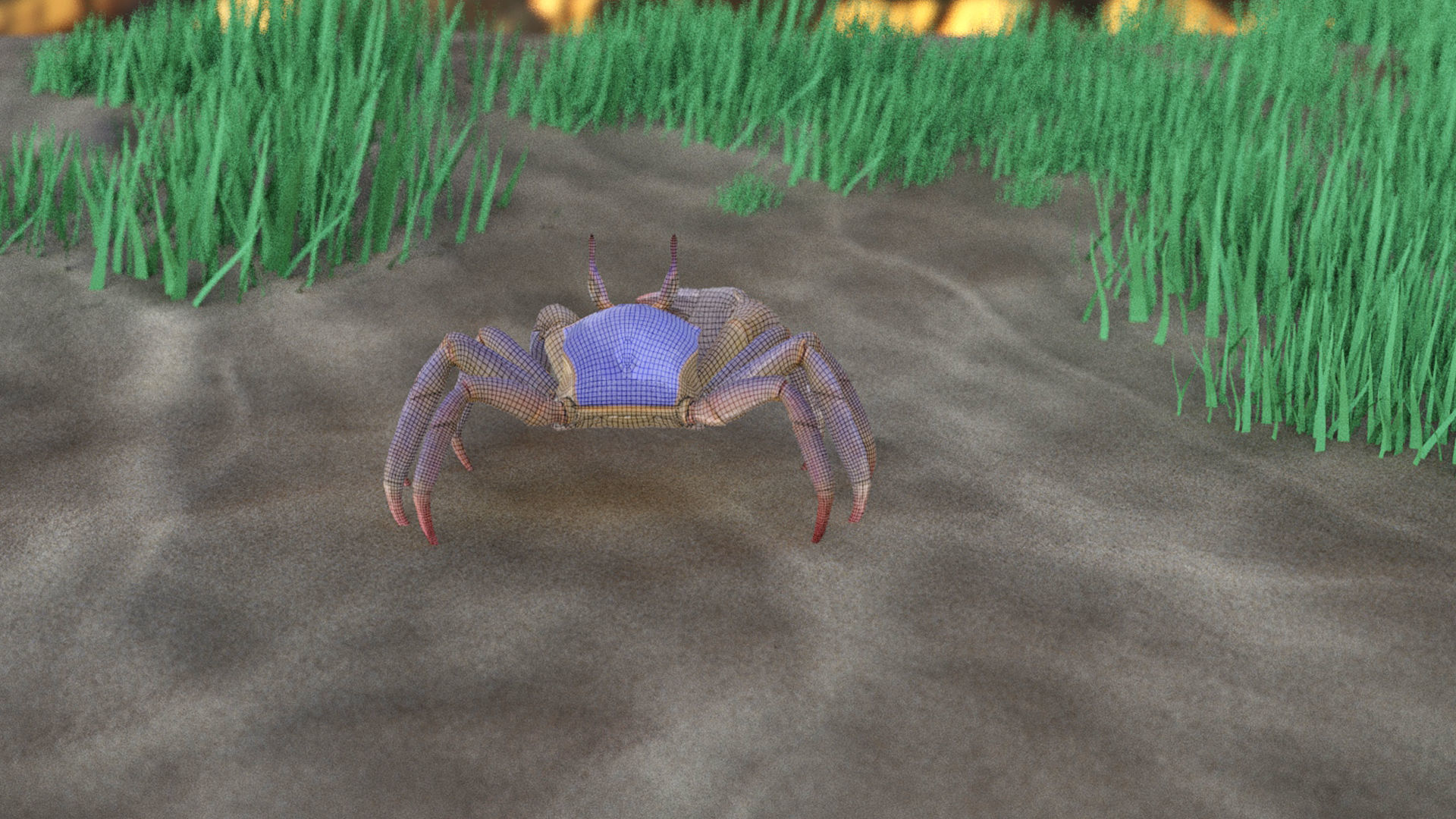 Ghost crab 3D model_20