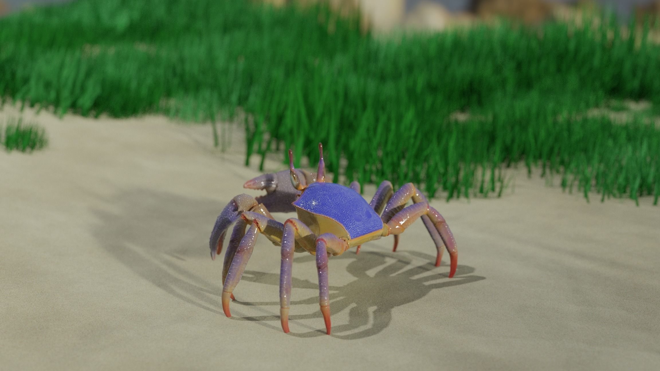 Ghost crab 3D model_3