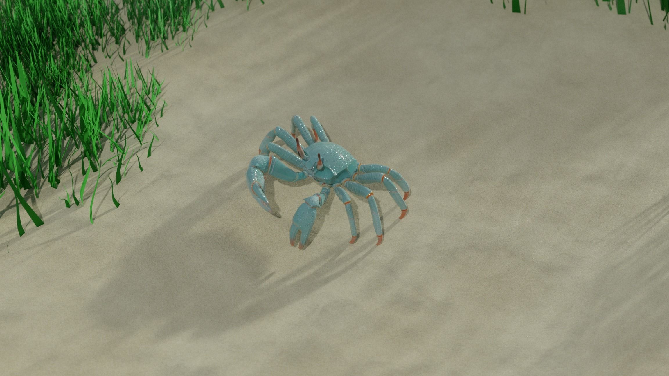 Ghost crab 3D model_12