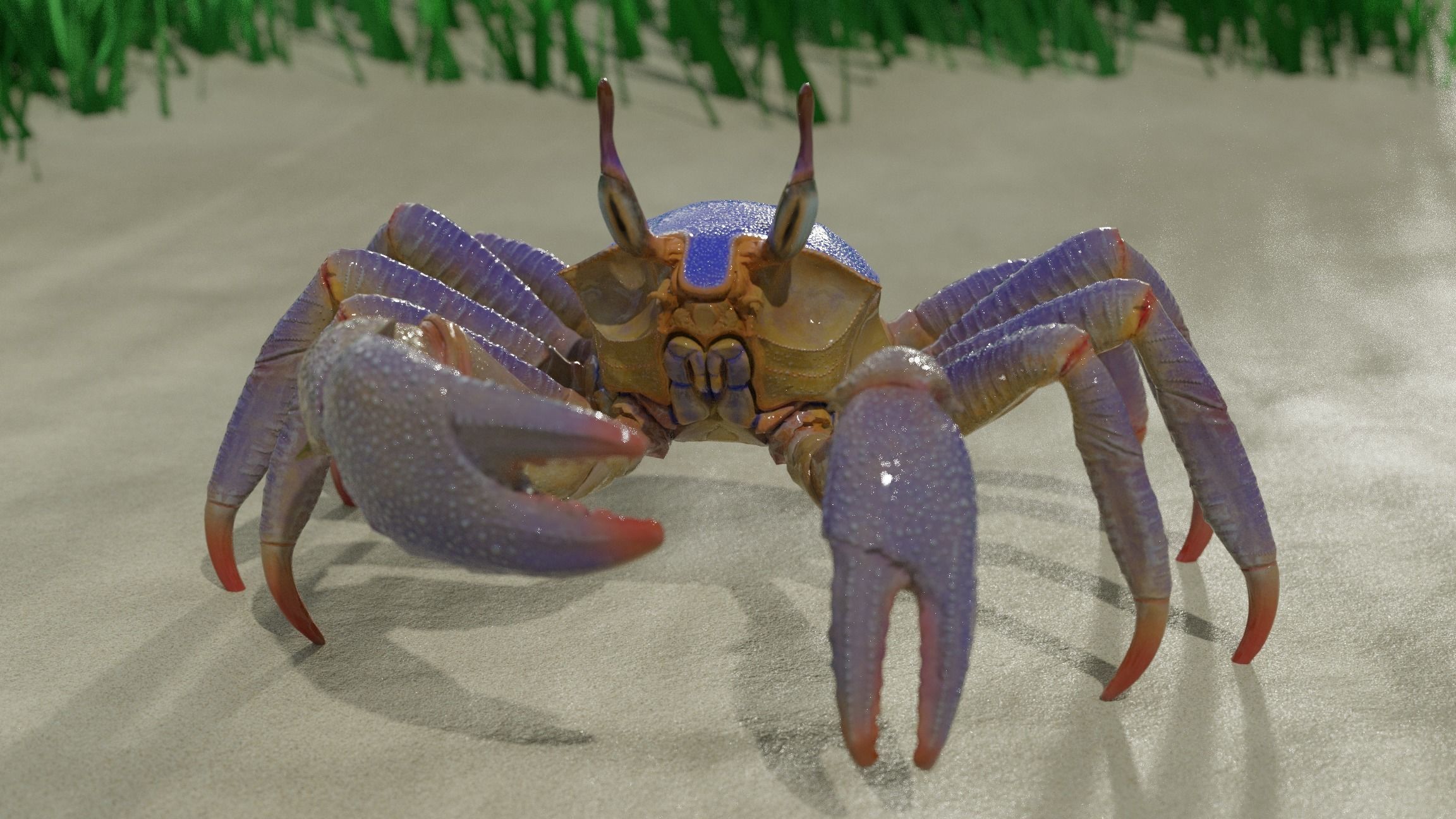 Ghost crab 3D model_6