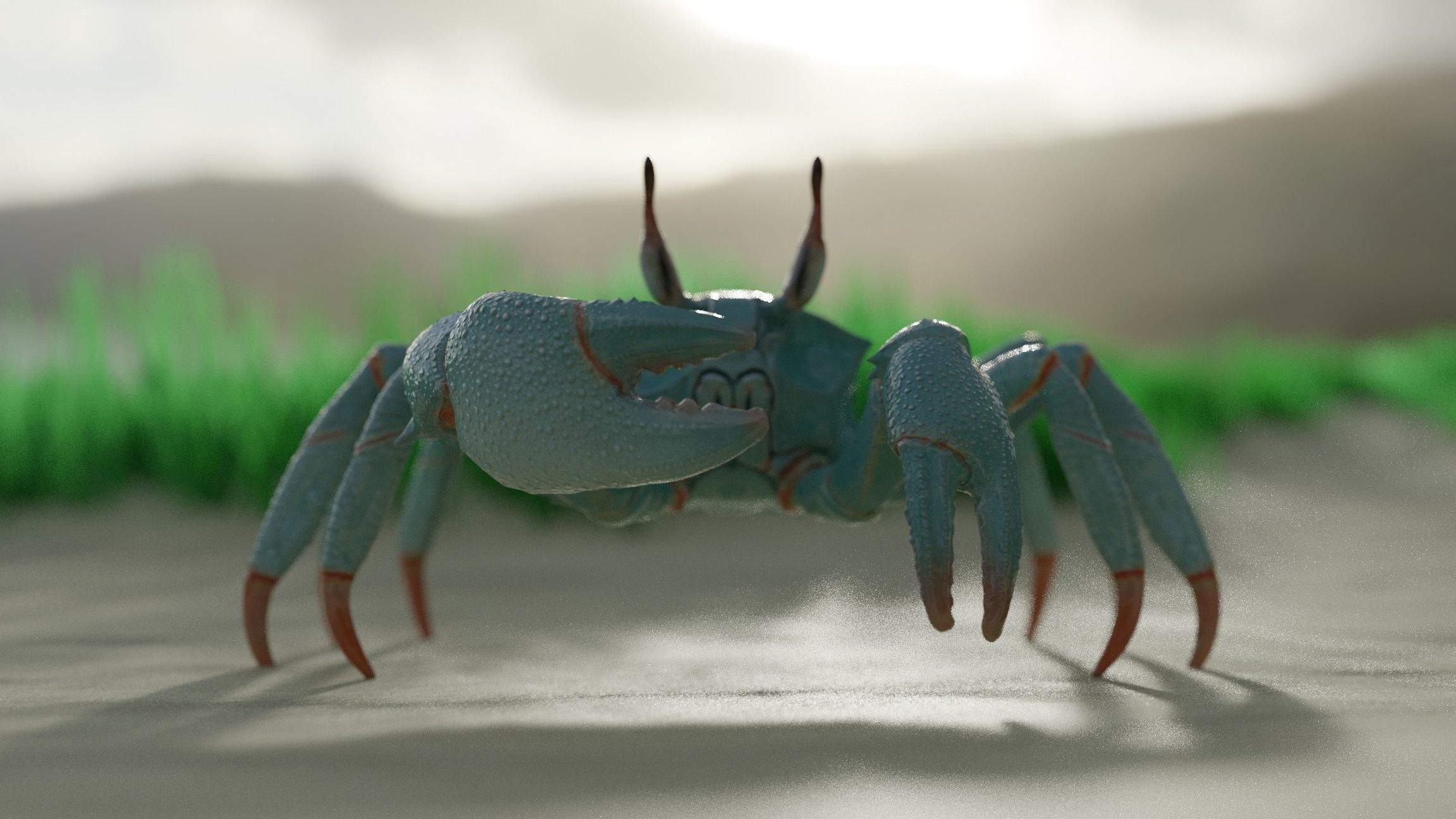 Ghost crab 3D model_14