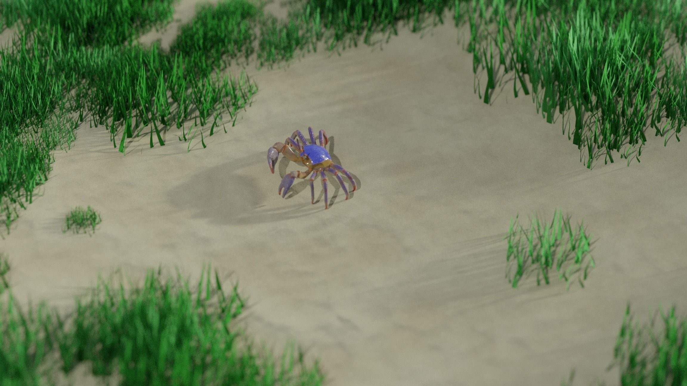 Ghost crab 3D model_9