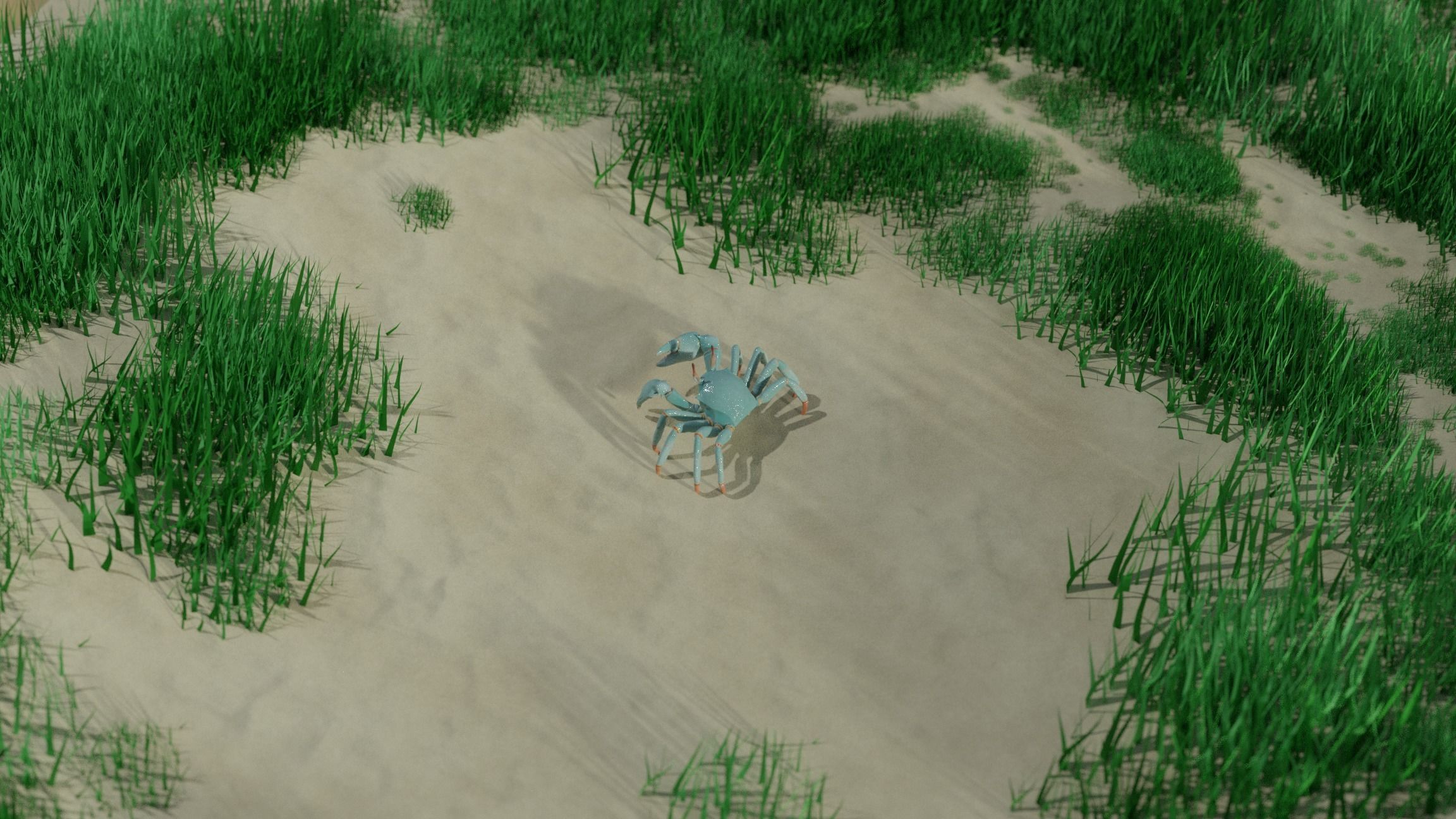 Ghost crab 3D model_13