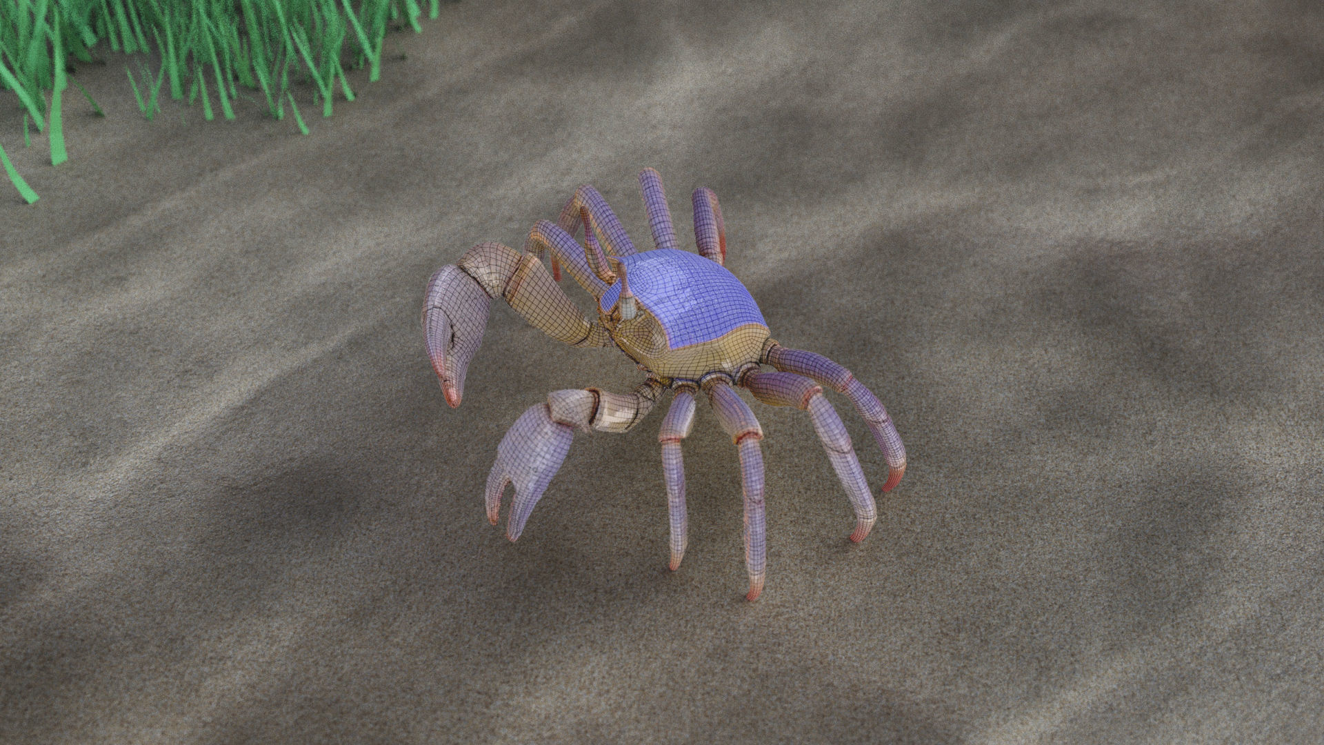 Ghost crab 3D model_19