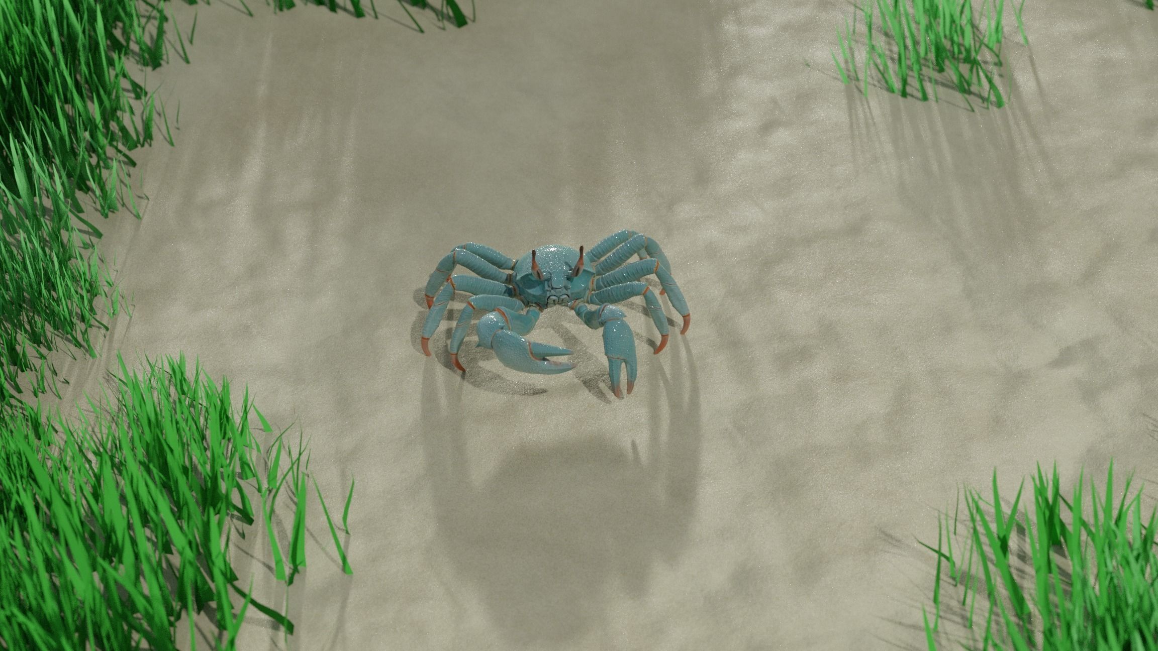 Ghost crab 3D model_11