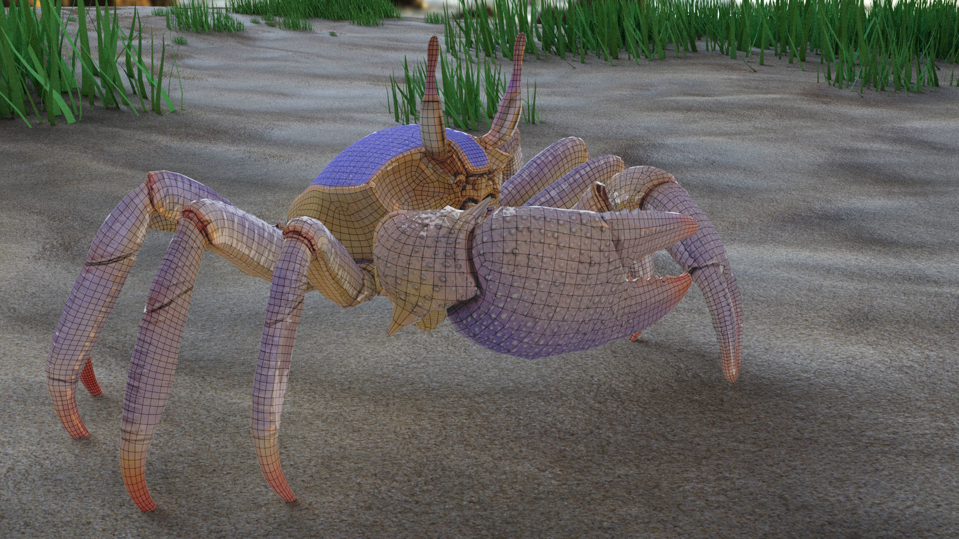 Ghost crab 3D model_16