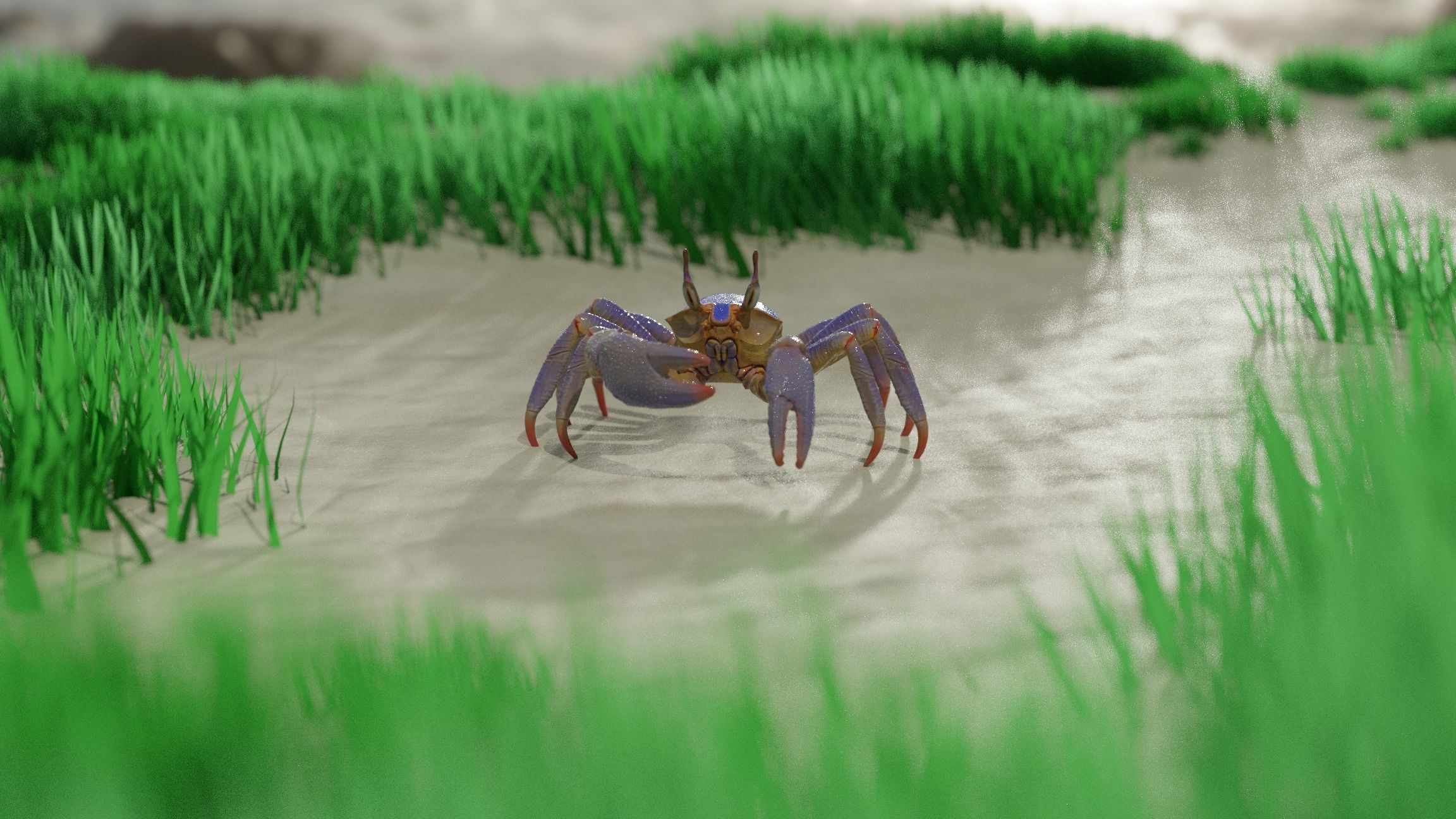 Ghost crab 3D model_7