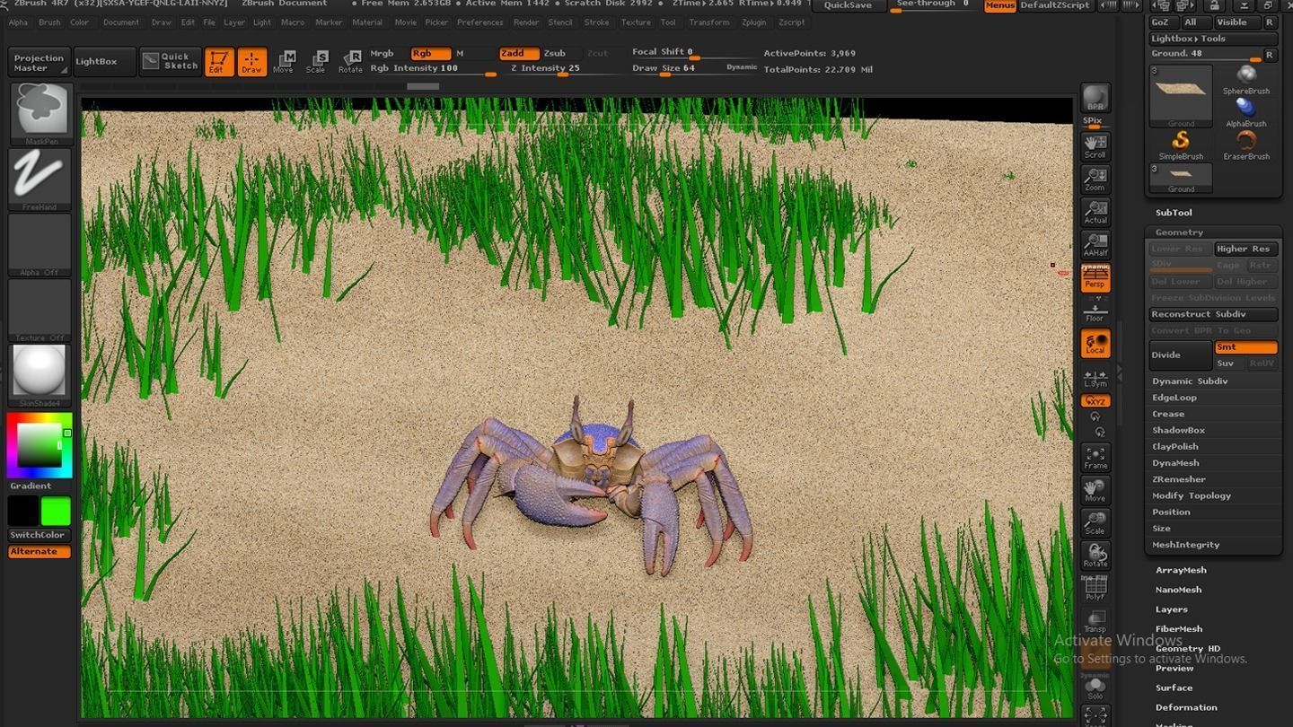 Ghost crab 3D model_21