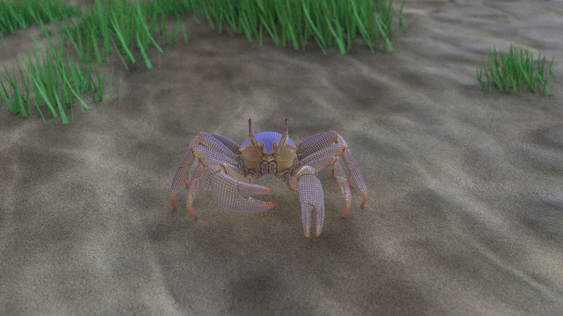 Ghost crab 3D model_18
