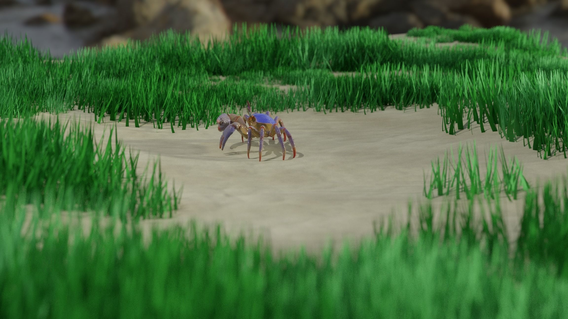 Ghost crab 3D model_8
