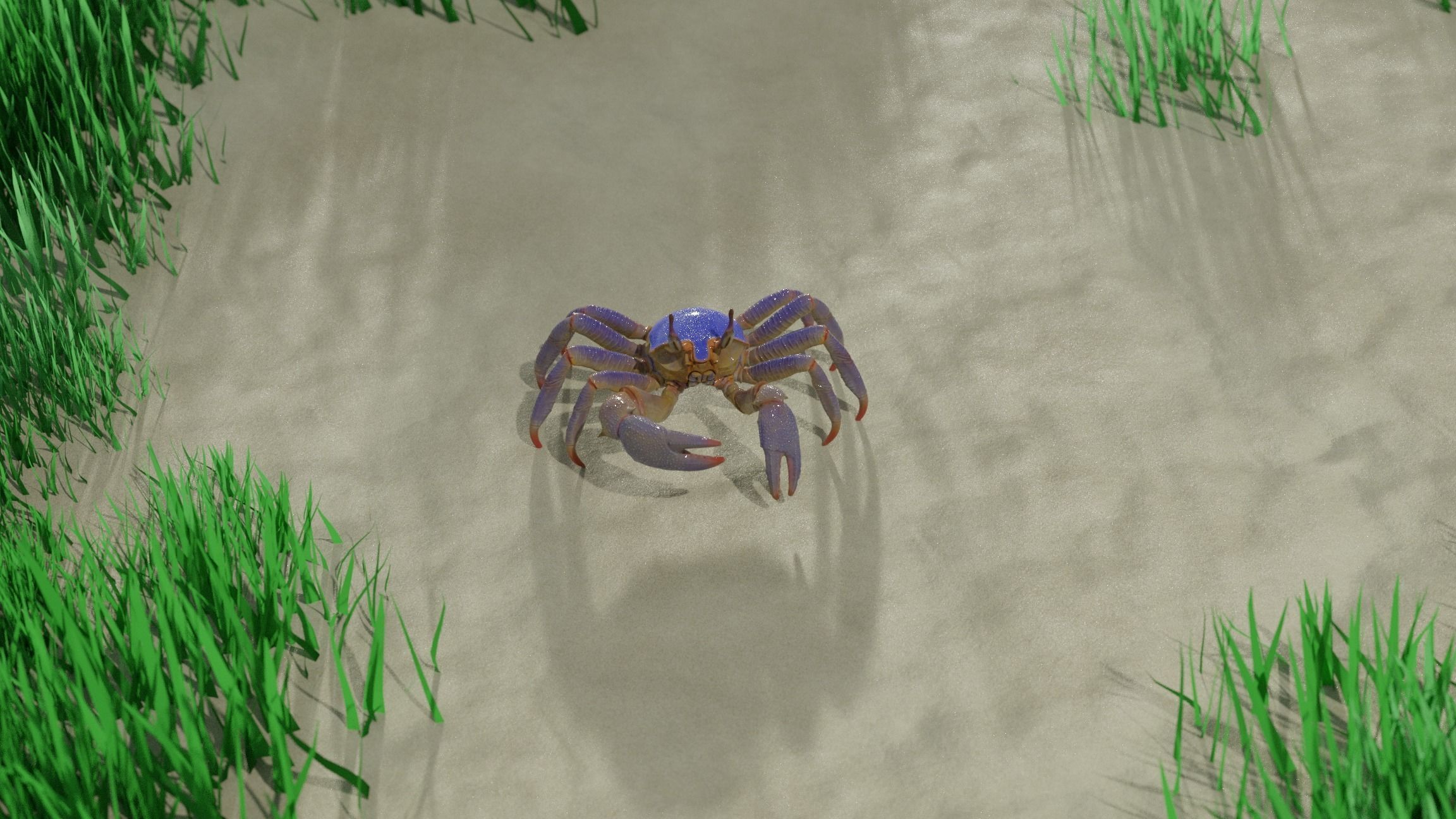 Ghost crab 3D model_10