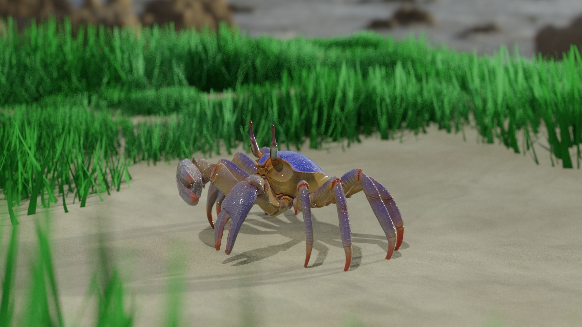 Ghost crab 3D model_2