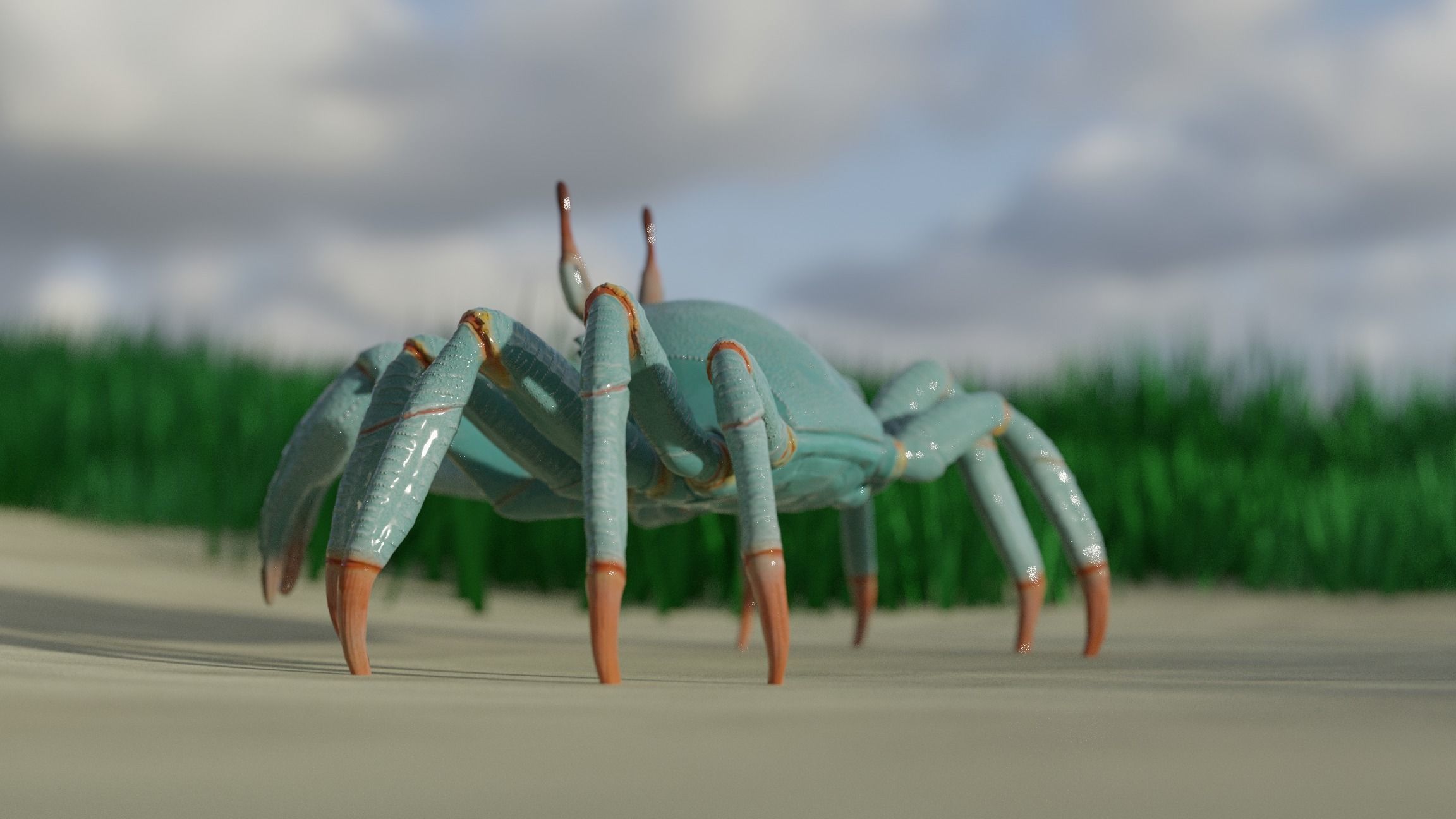 Ghost crab 3D model_15
