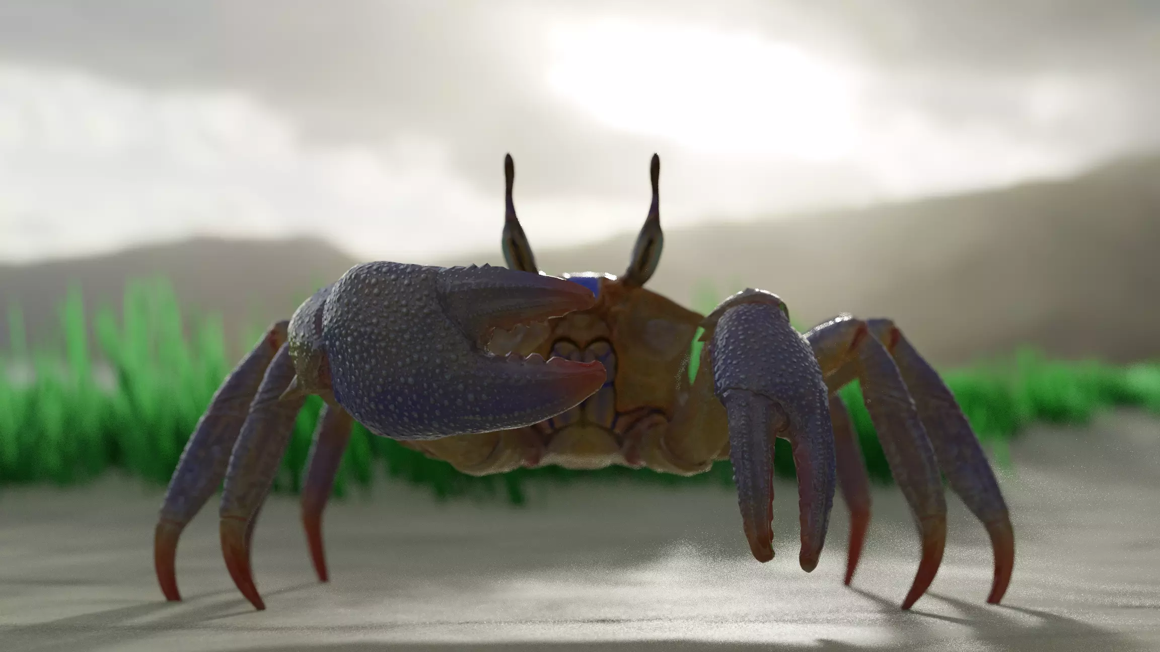 Ghost crab 3D model_0