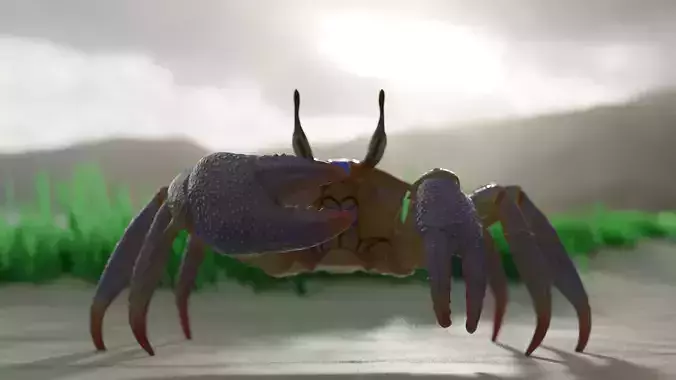 Ghost crab 3D model