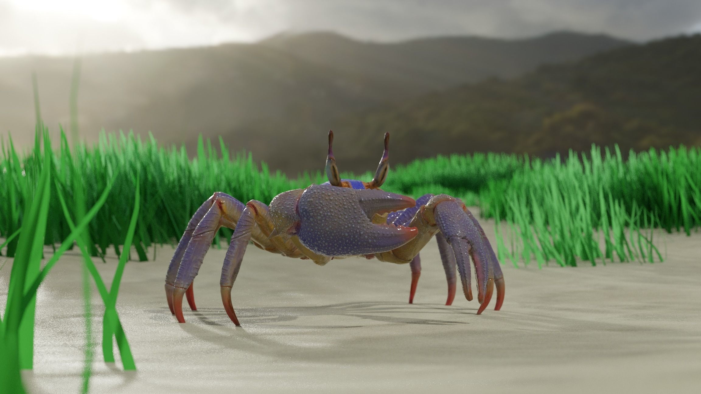 Ghost crab 3D model_1