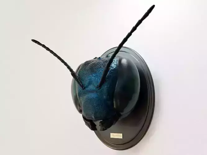 Insect head - mason bee 3D print model