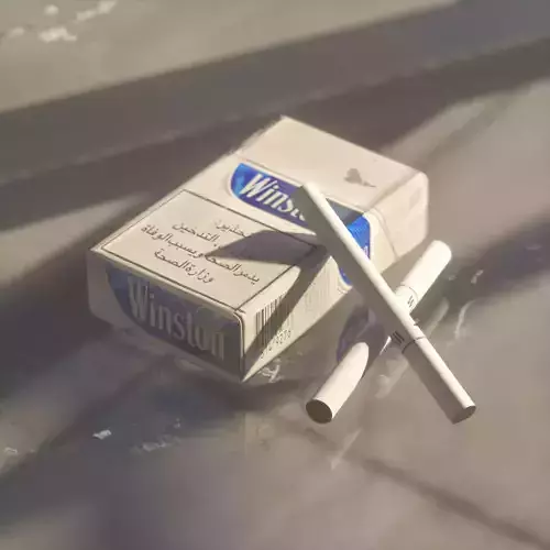 Winston Packet  Low Poly 