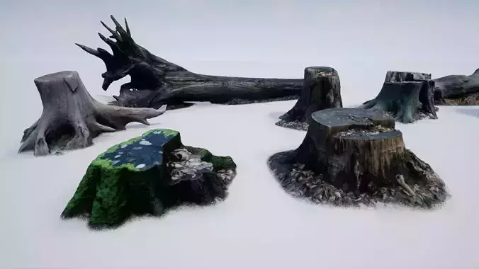 Photoscanned Tree Trunks