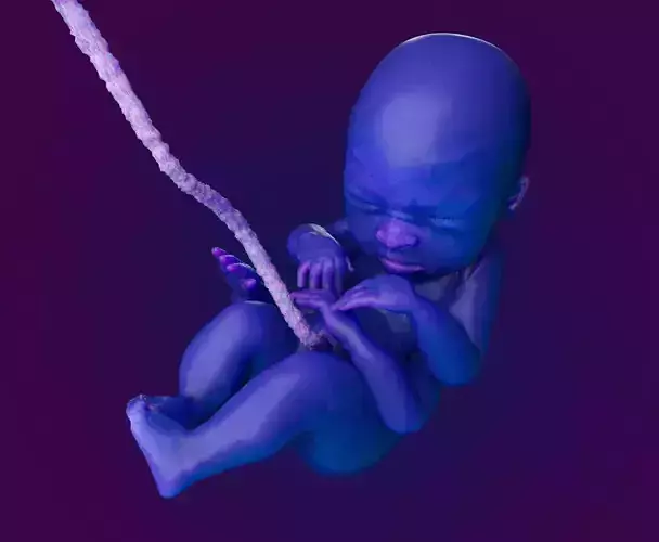 Realistic Alien Baby